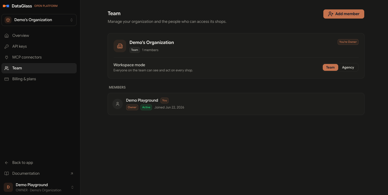 Team page showing the organization card, workspace mode toggle, and the members list